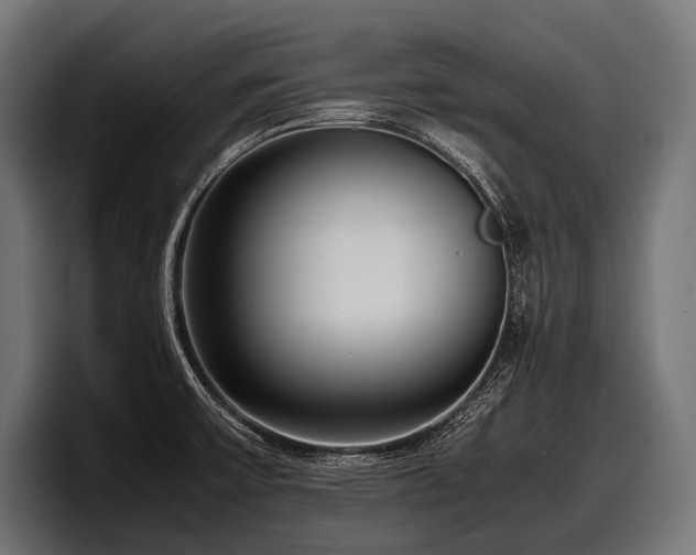 X0000097961475200803241204