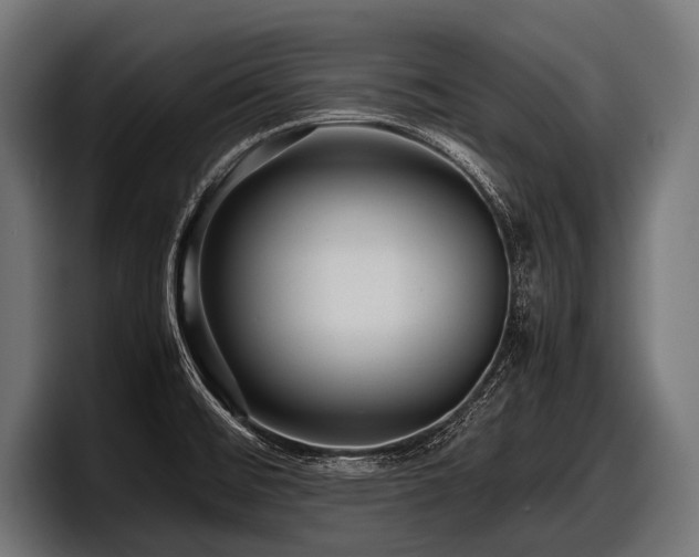 X0000097961476200803241204
