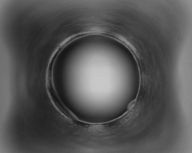 X0000097961477200803241204