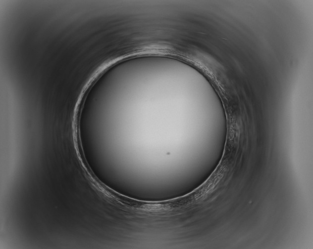 X0000097961478200803241204