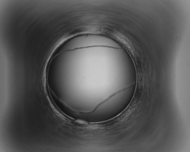 X0000097961479200803241204