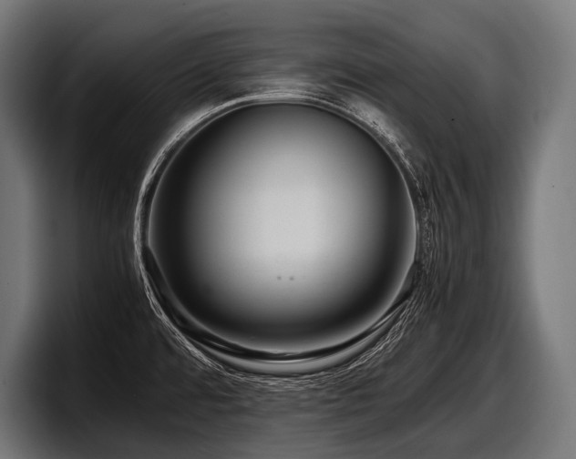 X0000097961480200803241204