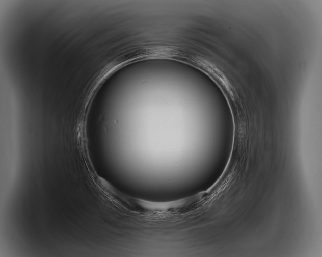 X0000097961481200803241204