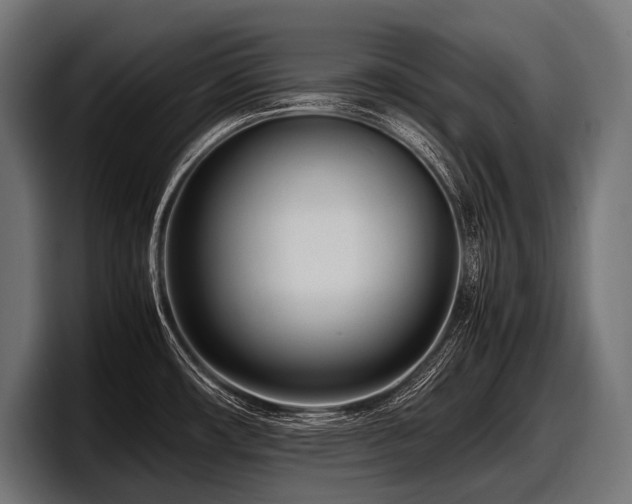 X0000097961482200803241204