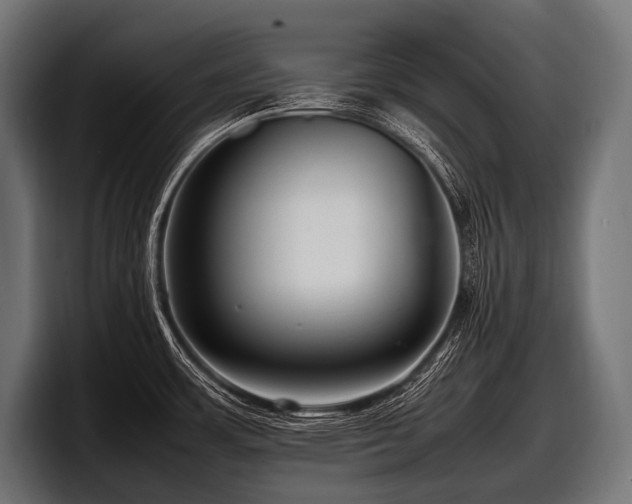 X0000097961483200803241204