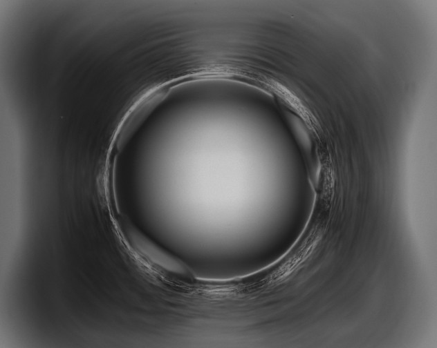 X0000097961484200803241204