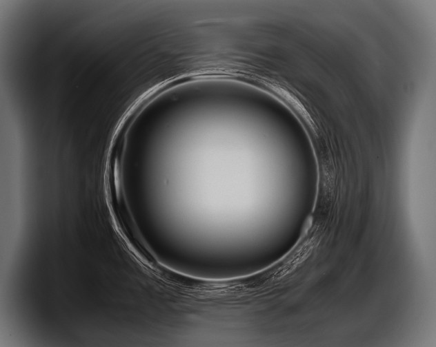 X0000097961485200803241204
