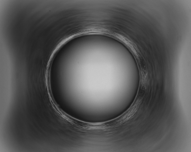 X0000097961486200803241204
