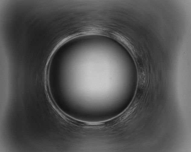 X0000097961487200803241204