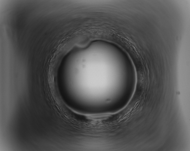 X0000097961489200803241203