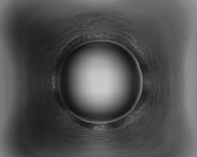 X0000097961490200803241203