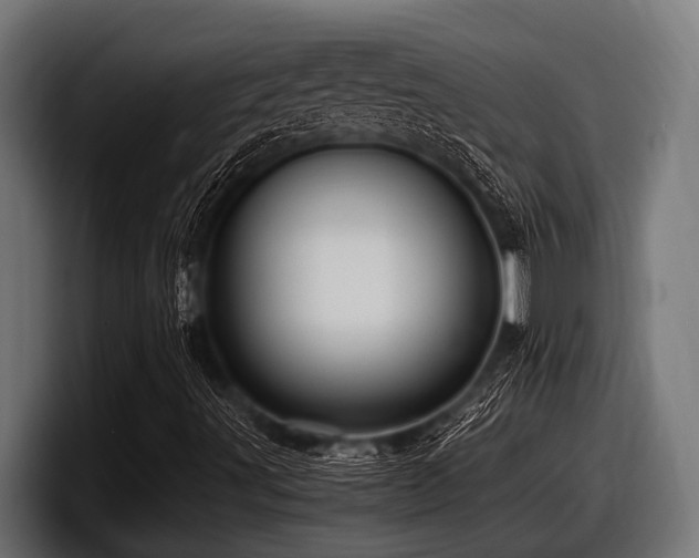 X0000097961491200803241203