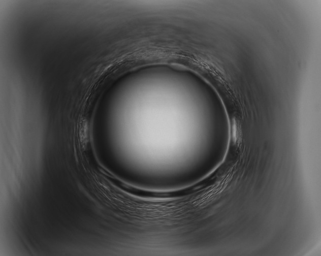 X0000097961492200803241203