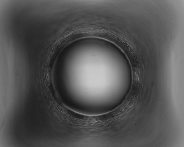 X0000097961493200803241203