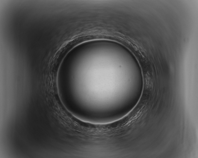 X0000097961494200803241203
