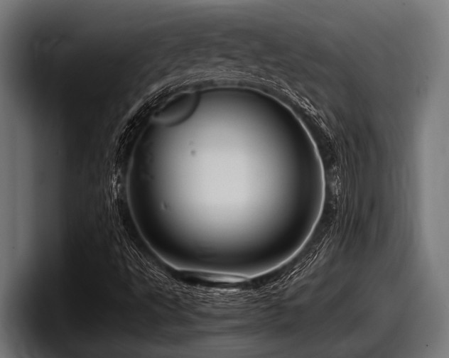 X0000097961495200803241203