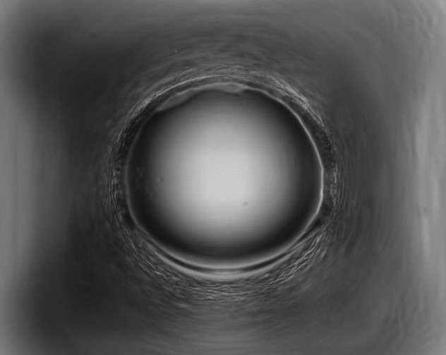 X0000097961496200803241203