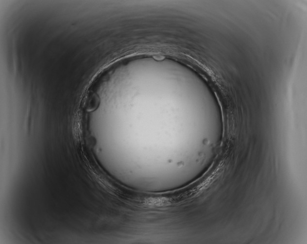 X0000097961498200803241203