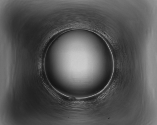 X0000097961499200803241203