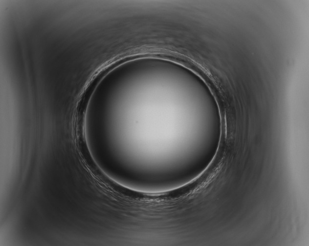 X0000097961501200803241203