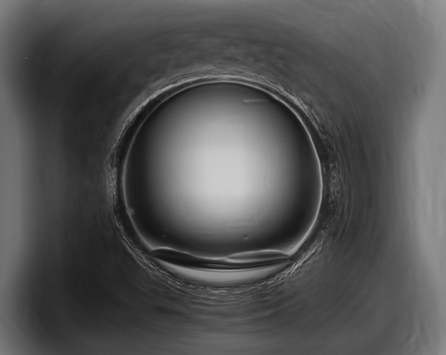 X0000097961503200803241203
