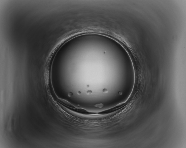 X0000097961504200803241203