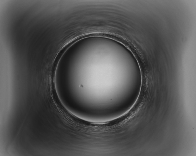 X0000097961505200803241203