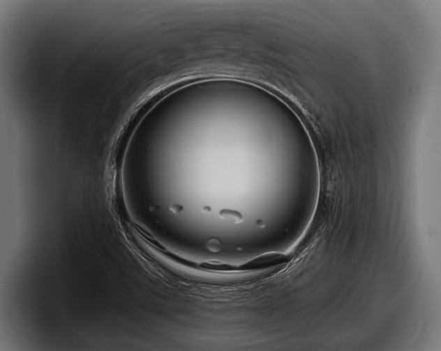 X0000097961507200803241203