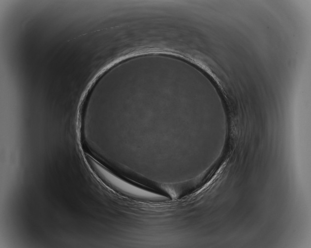 X0000097961508200803241203