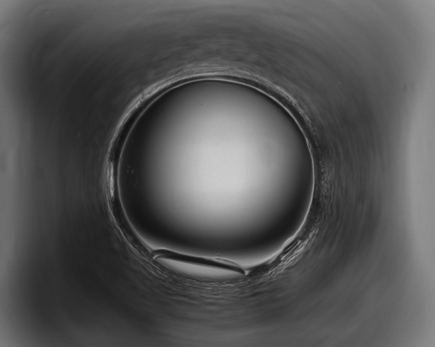 X0000097961509200803241203
