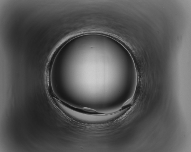 X0000097961510200803241203