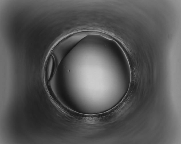 X0000097961511200803241203