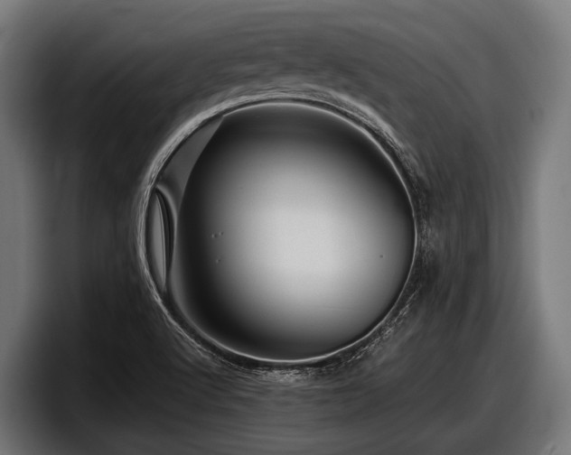 X0000097961512200803241203