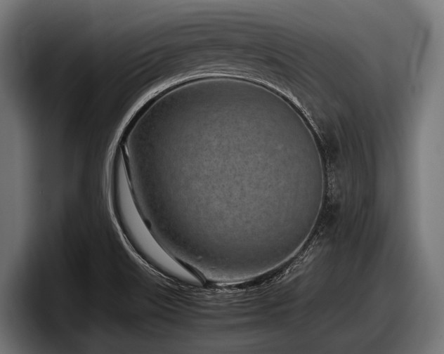 X0000097961515200803241203