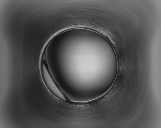 X0000097961516200803241203