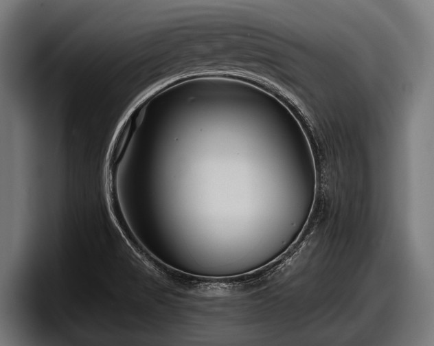 X0000097961517200803241203