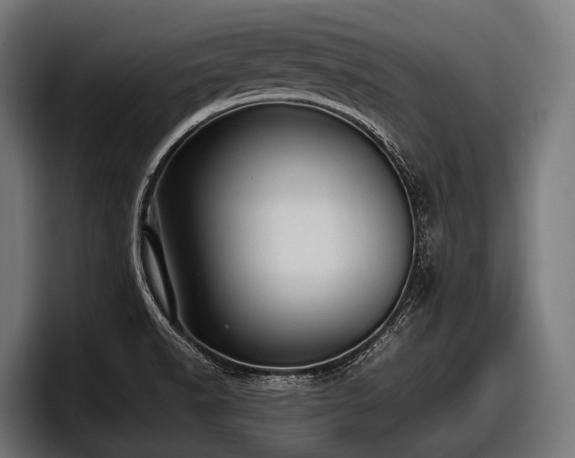 X0000097961518200803241203
