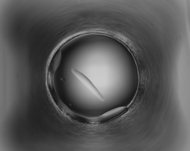 X0000097961520200803241203
