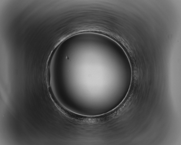 X0000097961521200803241203