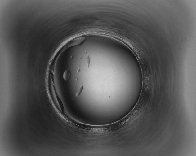X0000097961523200803241203