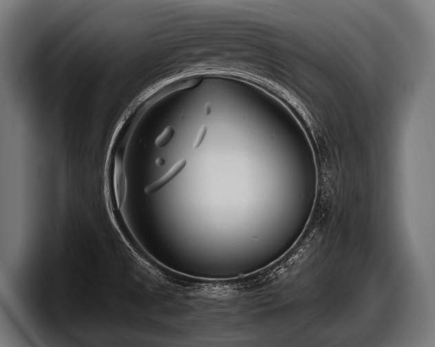 X0000097961525200803241203