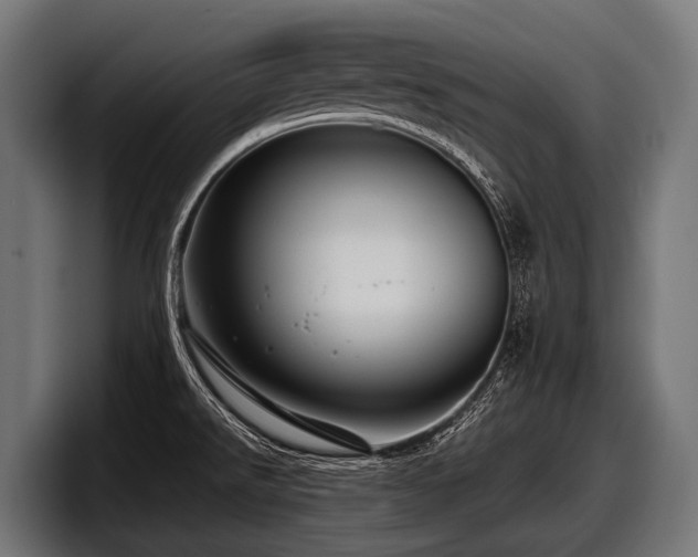 X0000097961526200803241203