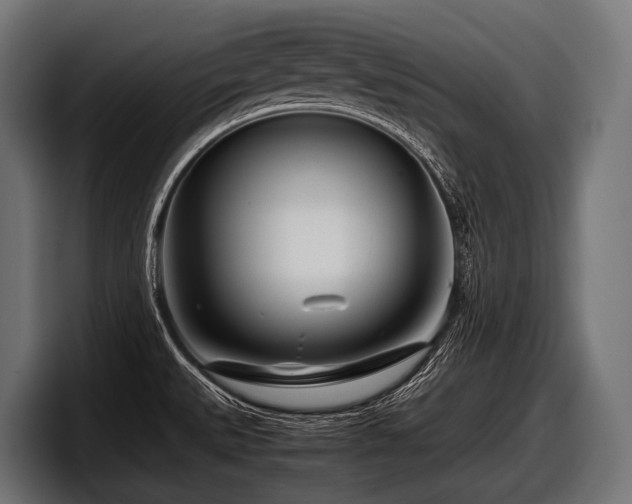 X0000097961527200803241203