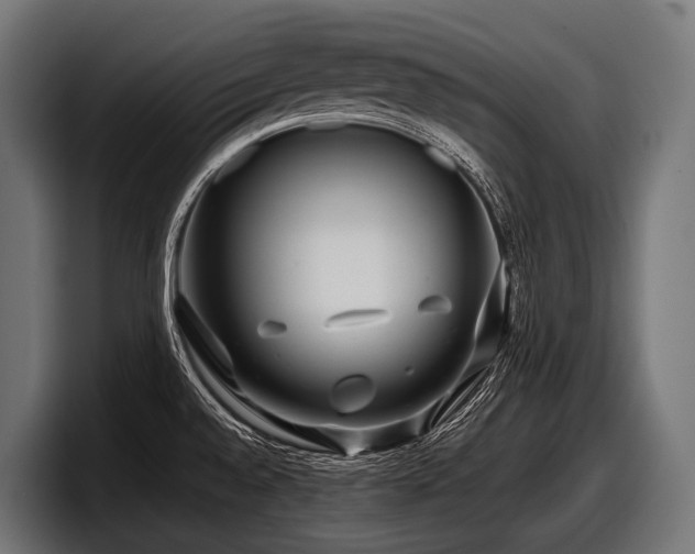 X0000097961528200803241203