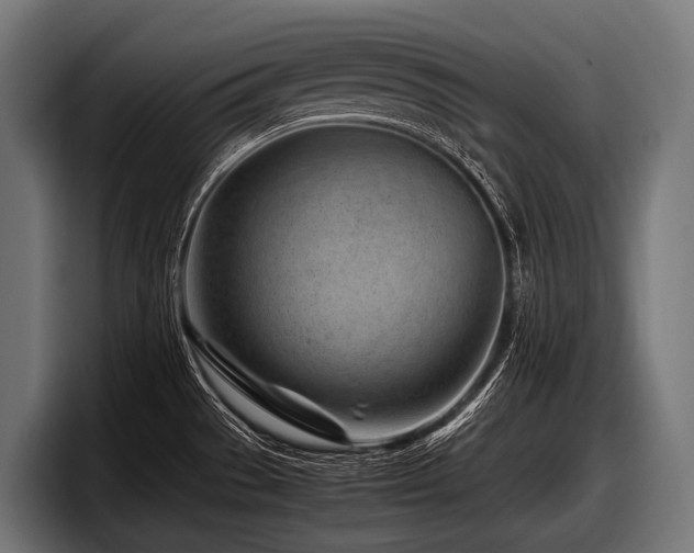 X0000097961529200803241203