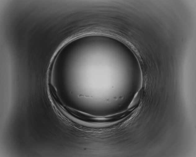 X0000097961530200803241203