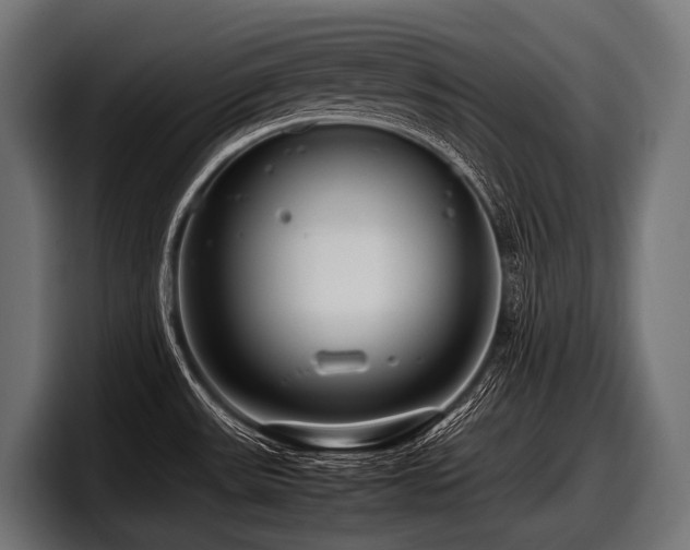 X0000097961531200803241203