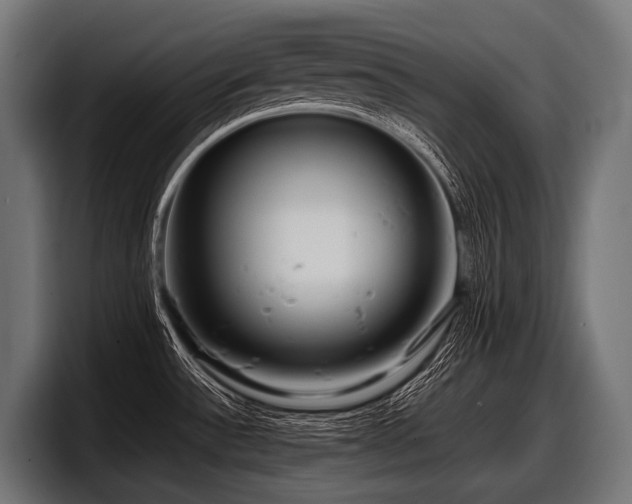 X0000097961532200803241203