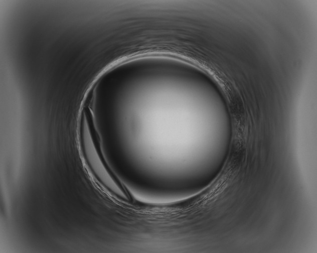 X0000097961534200803241204