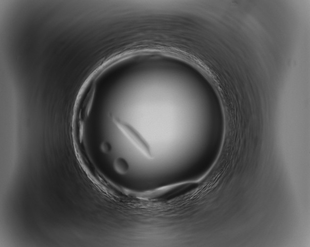 X0000097961536200803241204
